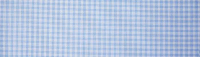 Swatch Blue