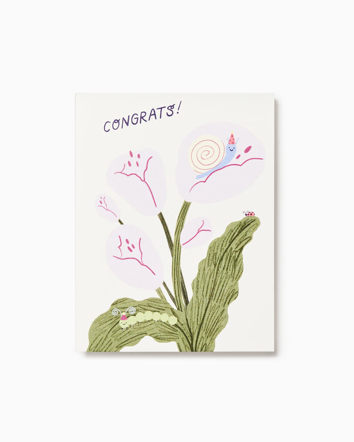 Congrats! - Greeting Card