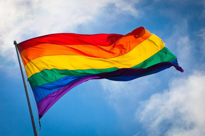 Flag: Pride Rainbow Flags
