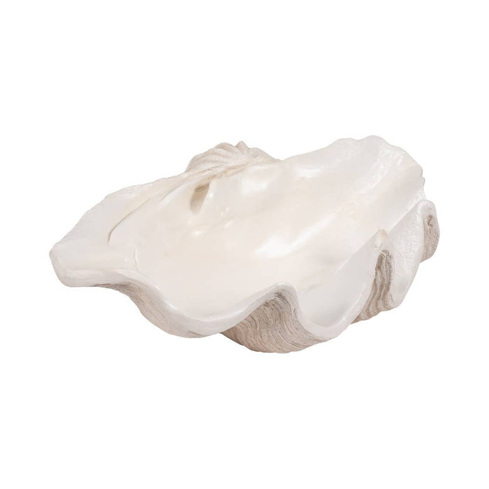 Ivory Polyresin Pearlized Clam Shell - 25 in.