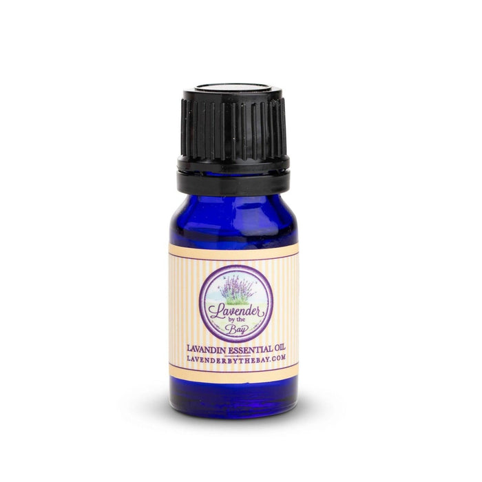 Lavandin essential oil 10 ml blue bottle with Lavender By the Bay logo on it on white background