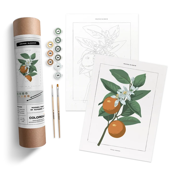 ORANGE BLOSSOM BOTANICAL