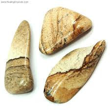 Sone: Picture Jasper Anziety & Stress
