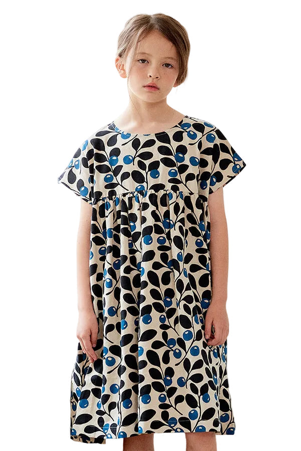 Berry Print Wide Dress