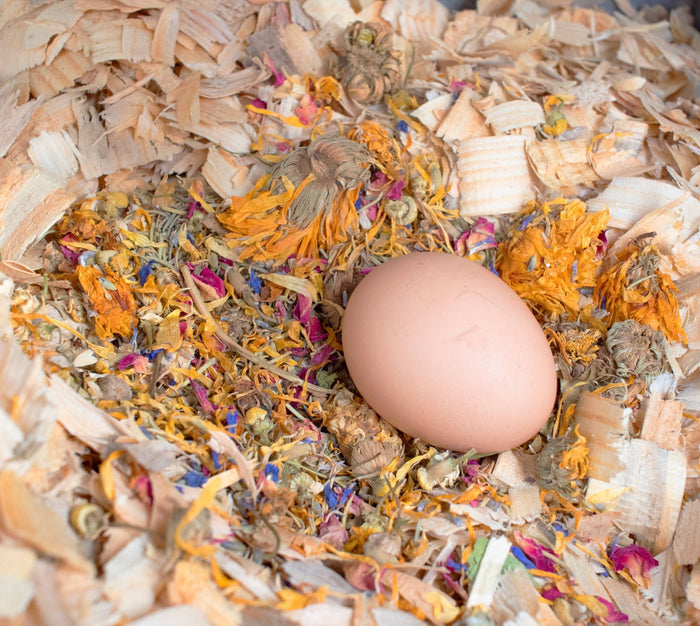 Best Eggs Ever! Nesting Herbs (Chamomile, Roses, Lavender, Cornflowers, & Calendula) For Pet Chickens