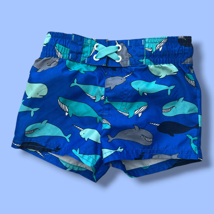 Blue Cat & Jack whale swim trunks, 6-9m