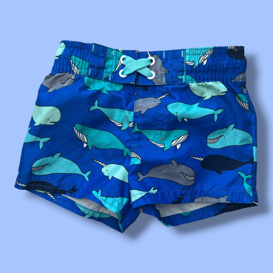 Blue Cat & Jack whale swim trunks, 6-9m