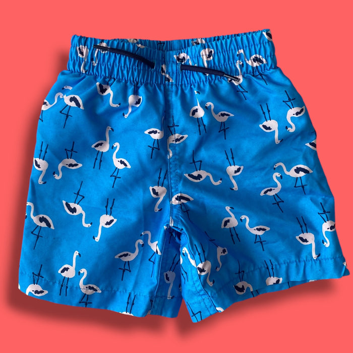 blue joe fresh swim trunks, 3y