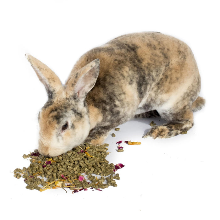 BunLuv Herbal Rabbit Feed
