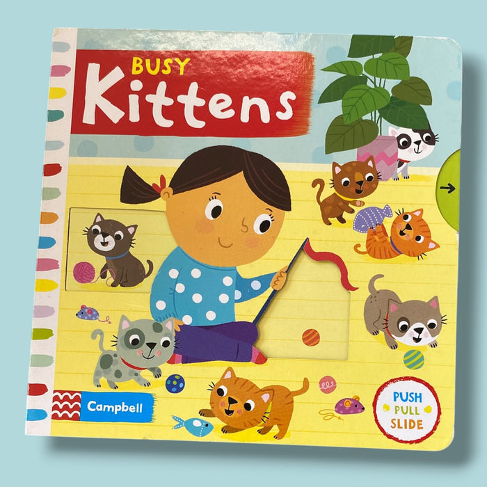 busy kittens