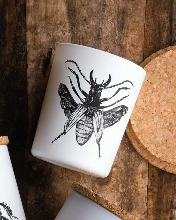 Candle in Jar INSECT 75gr SCARABEUS SACER 2.36 diam. x 2.95 in