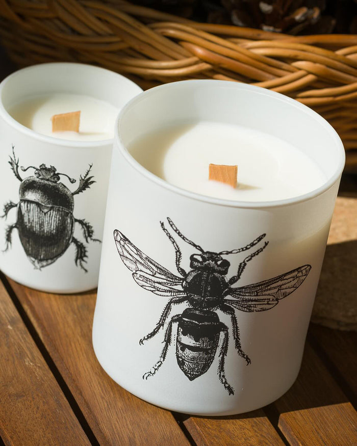 Candle in Jar INSECT 75gr SCARABEUS SACER 2.36 diam. x 2.95 in