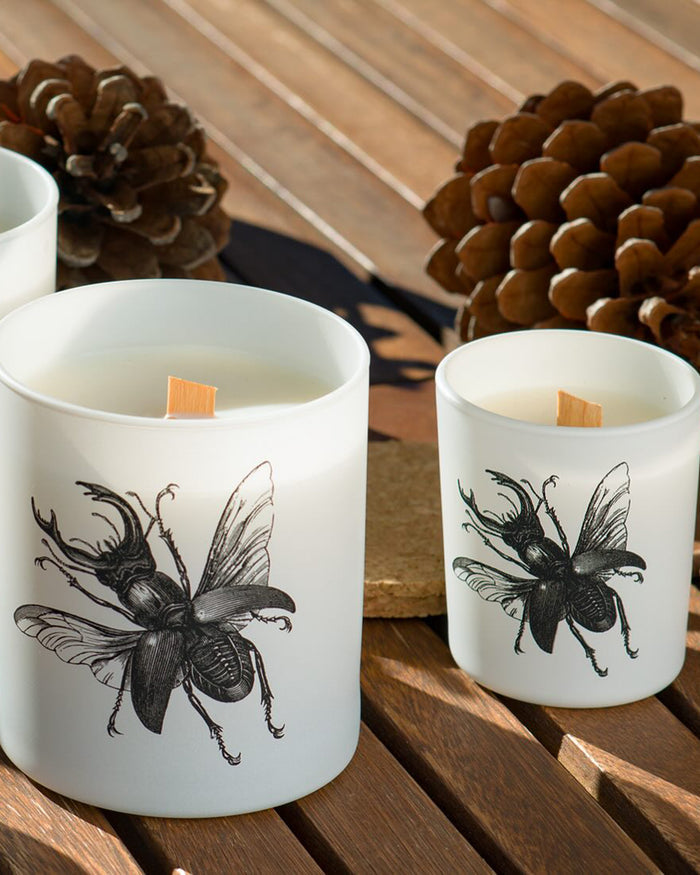 Candle in Jar INSECT 75gr SCARABEUS SACER 2.36 diam. x 2.95 in