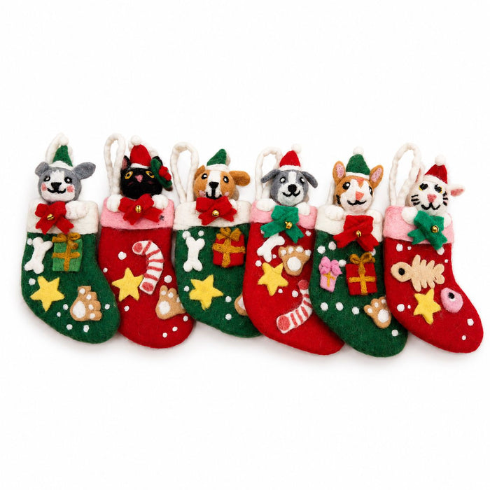 Christmas Pet Charm Socks Mixed Selection