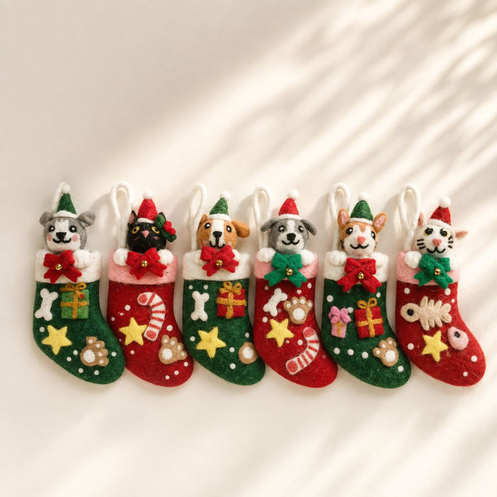 Christmas Pet Charm Socks Mixed Selection