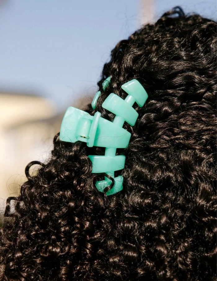 Classic Medium Hair Clip- Spring Slash