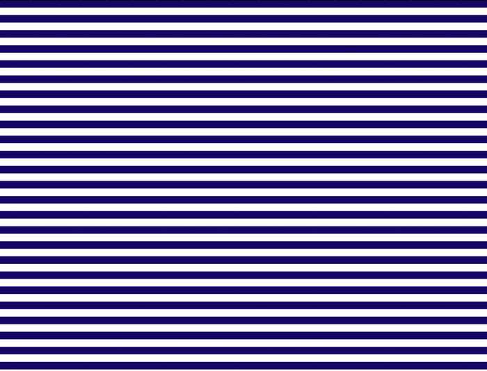 Swatch Navy
