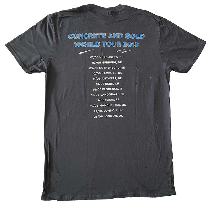 Foo Fighters T-Shirt - Back Print Amplified