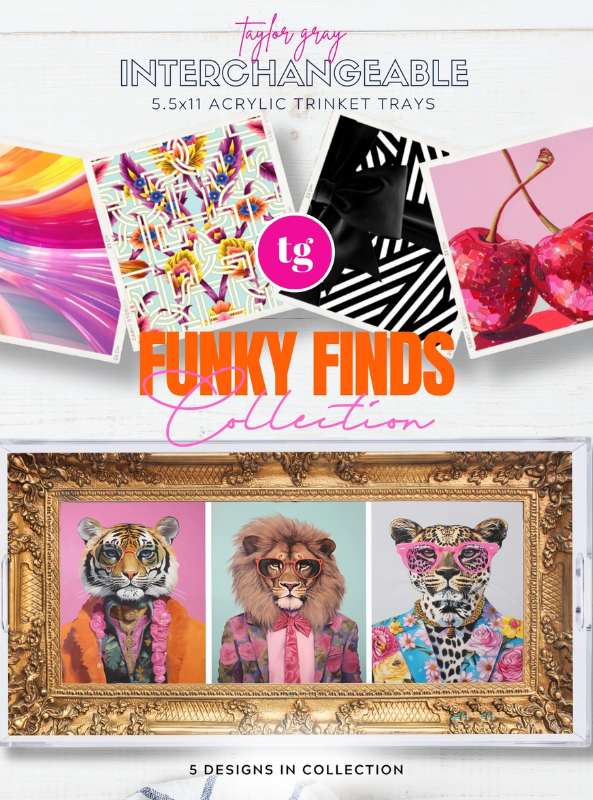Funky Finds Trinket Tray Insert