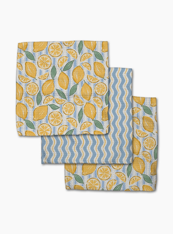 Geometry Dishcloth Set