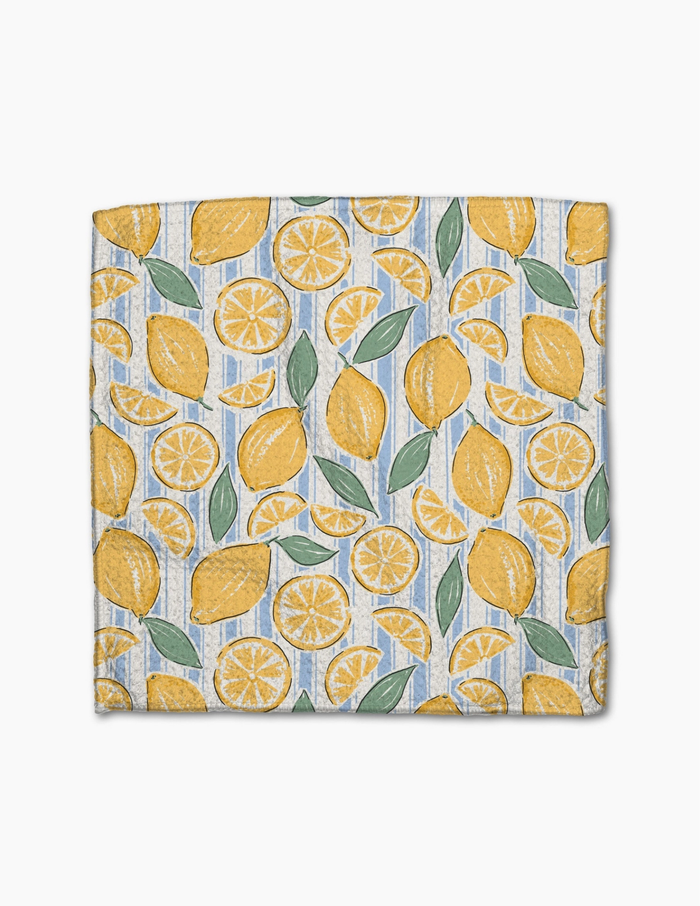 Geometry Dishcloth Set