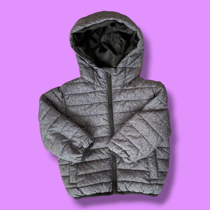 grey George puffer, 2y