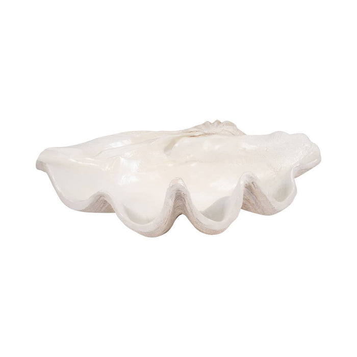 Ivory Polyresin Pearlized Clam Shell - 25 in.
