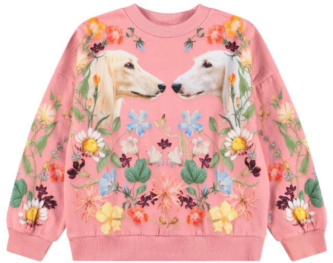 Maxi Sweatshirt - Afghan Hounds