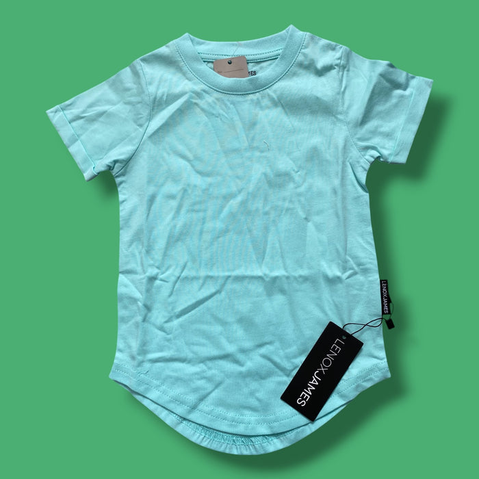 Mint Lenox & James NWT, 12-18m