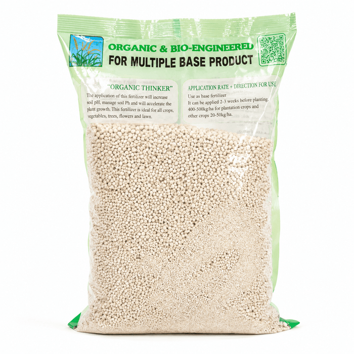 Moni Kuru (Millet Bulet) | Premium Whole Millet Grains - Yado African & Caribbean Market