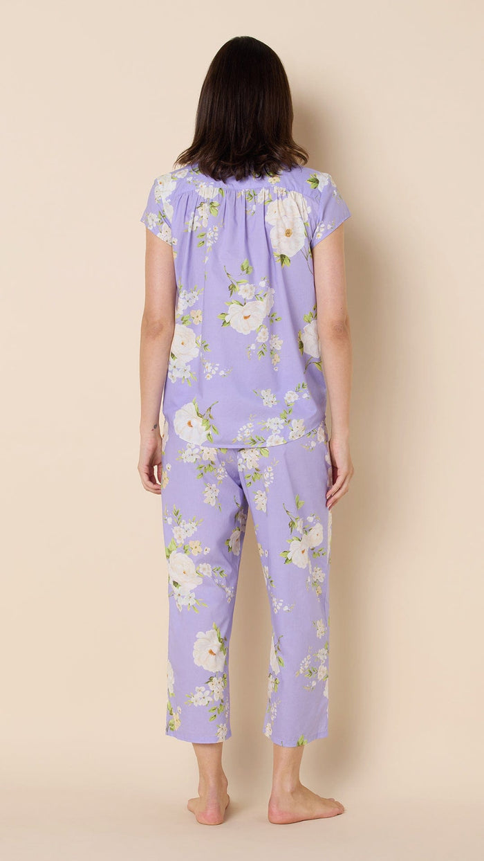 Hover Lavender