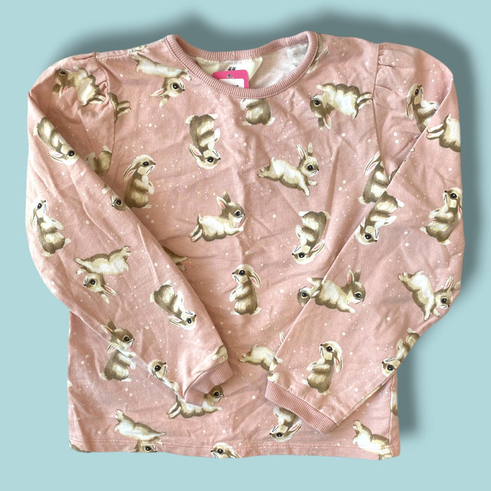 pink H&M sweatshirt, 6/7y