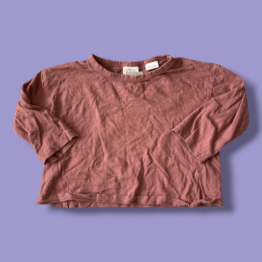 Pink Zara Long Sleeve, 2-3Y