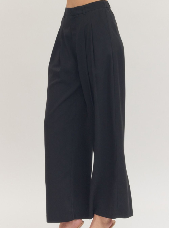Pleated Wide Leg Pant- Black