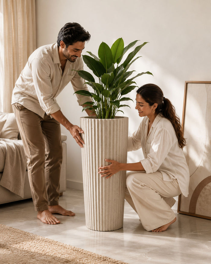 Tall fluted concrete planter with indoor plant, adjusted by two people