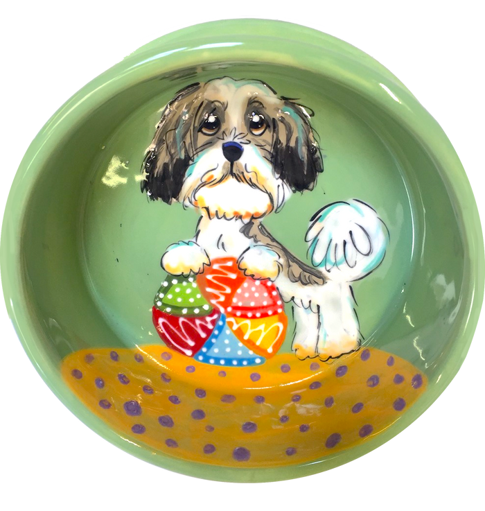 Shih Tzu