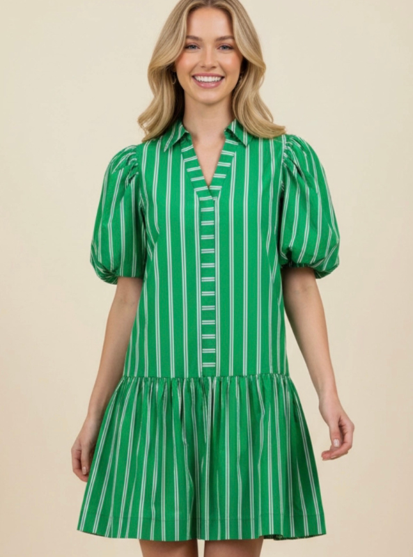 Stripe Puffed Sleeve Mini Dress