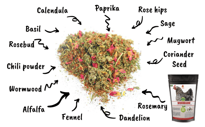 WormBGone Nesting Herbs For Pet Chickens With Roses, Chilis, Calendula, Dandelion For Healthier Coops